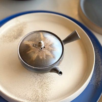 炭化窯変 火襷 平袋 小茶注
