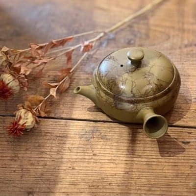 緑泥藻掛 平丸急須