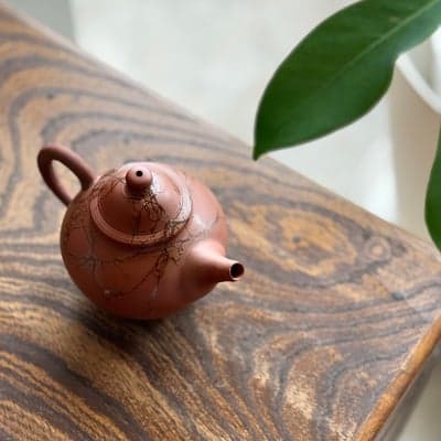 朱泥藻掛 印籠蓋 後手茶注