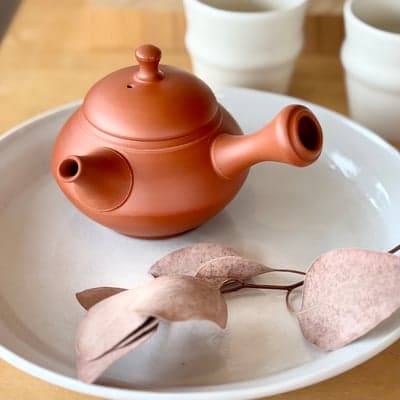 朱泥 茶注