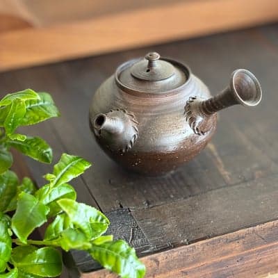 常滑 急須 木箱入