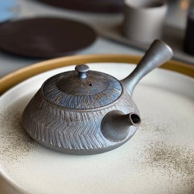 窯変 藻掛け 飛鉋 急須